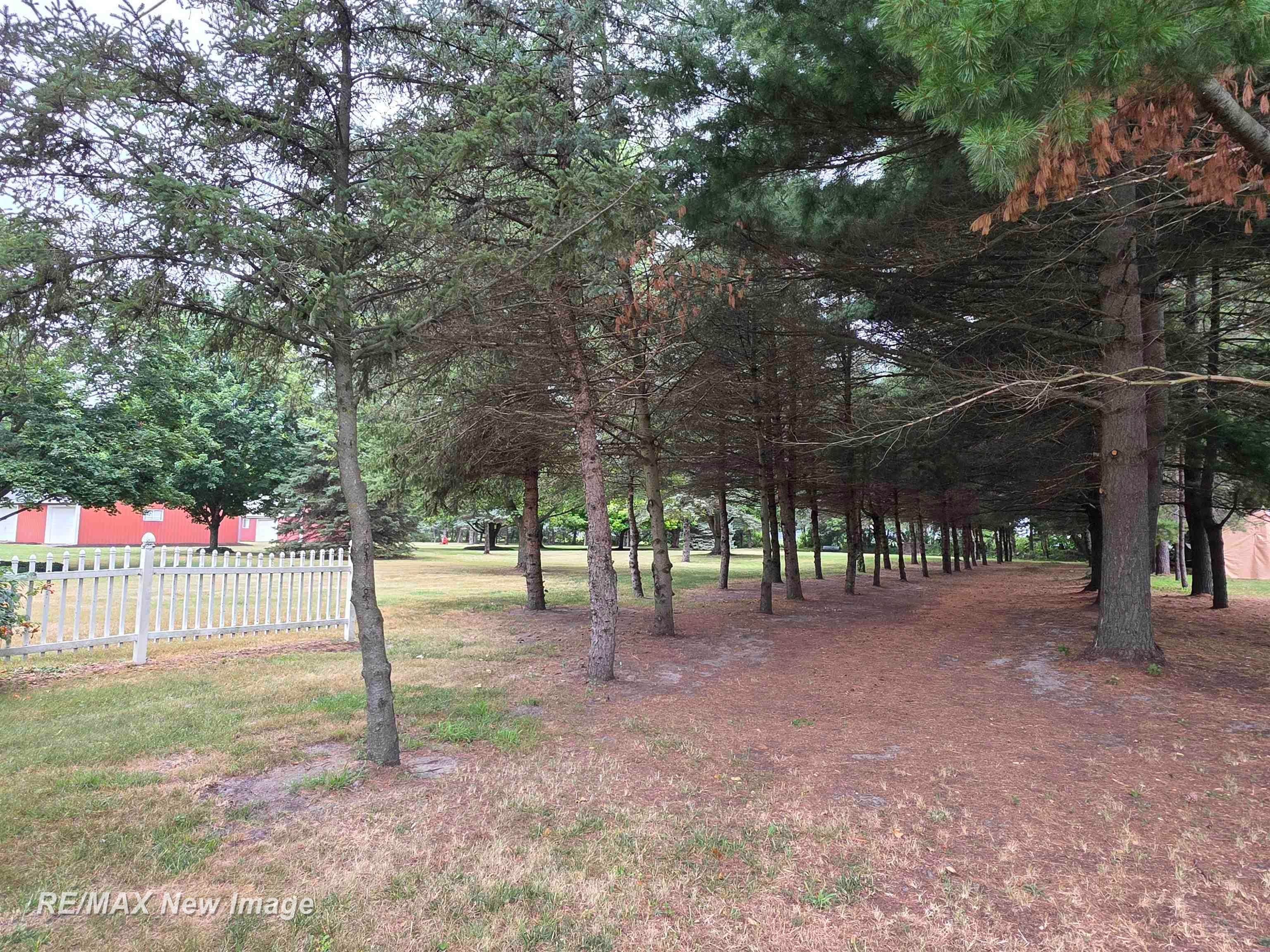 11904 Peet Road Chesaning, MI 48616 - Photo 58 of 72 Gallery Image 58