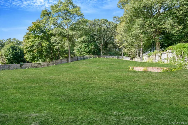 a view of a field with a tree in the background