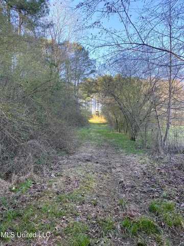 $179,000 | 492 Highway Conehatta Ms 39057, Conehatta, MS 39057