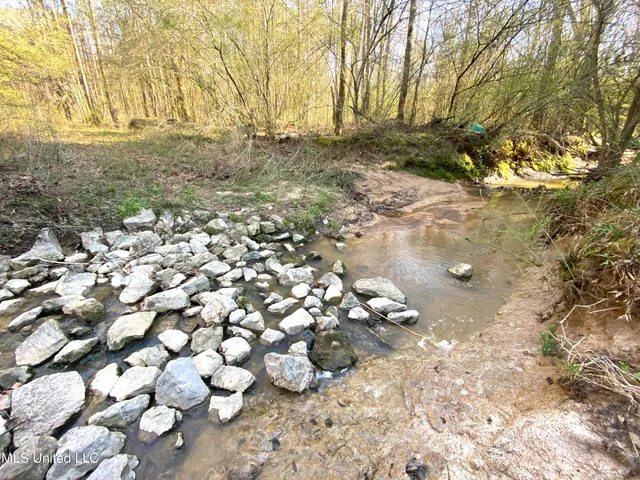 $179,000 | 492 Highway Conehatta Ms 39057, Conehatta, MS 39057