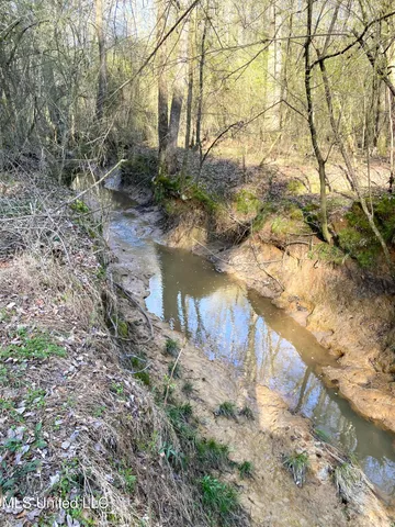 $179,000 | 492 Highway Conehatta Ms 39057, Conehatta, MS 39057