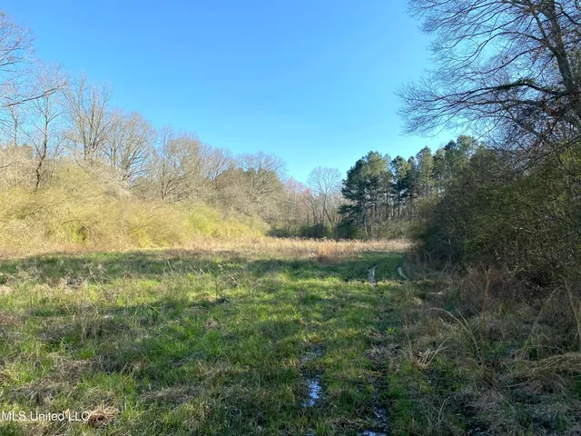 $179,000 | 492 Highway Conehatta Ms 39057, Conehatta, MS 39057