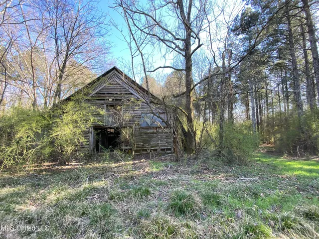 $179,000 | 492 Highway Conehatta Ms 39057, Conehatta, MS 39057
