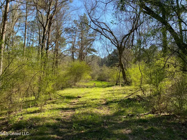 $179,000 | 492 Highway Conehatta Ms 39057, Conehatta, MS 39057