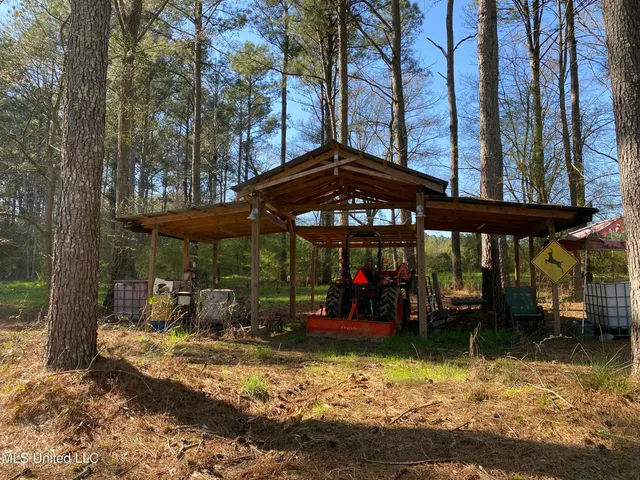 $179,000 | 492 Highway Conehatta Ms 39057, Conehatta, MS 39057