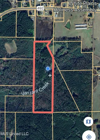 $179,000 | 492 Highway Conehatta Ms 39057, Conehatta, MS 39057