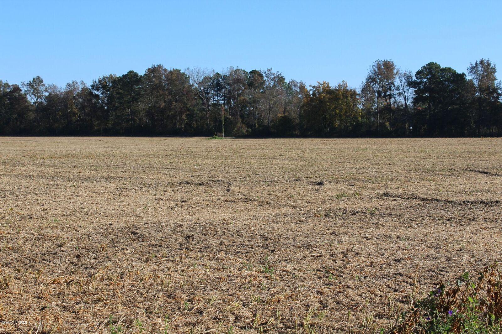 16.8-ac Perry Rivenbark Road Warsaw, NC 28398 - Photo 1 of 5 Front view of mostly cleared lot. 633' road frontage.