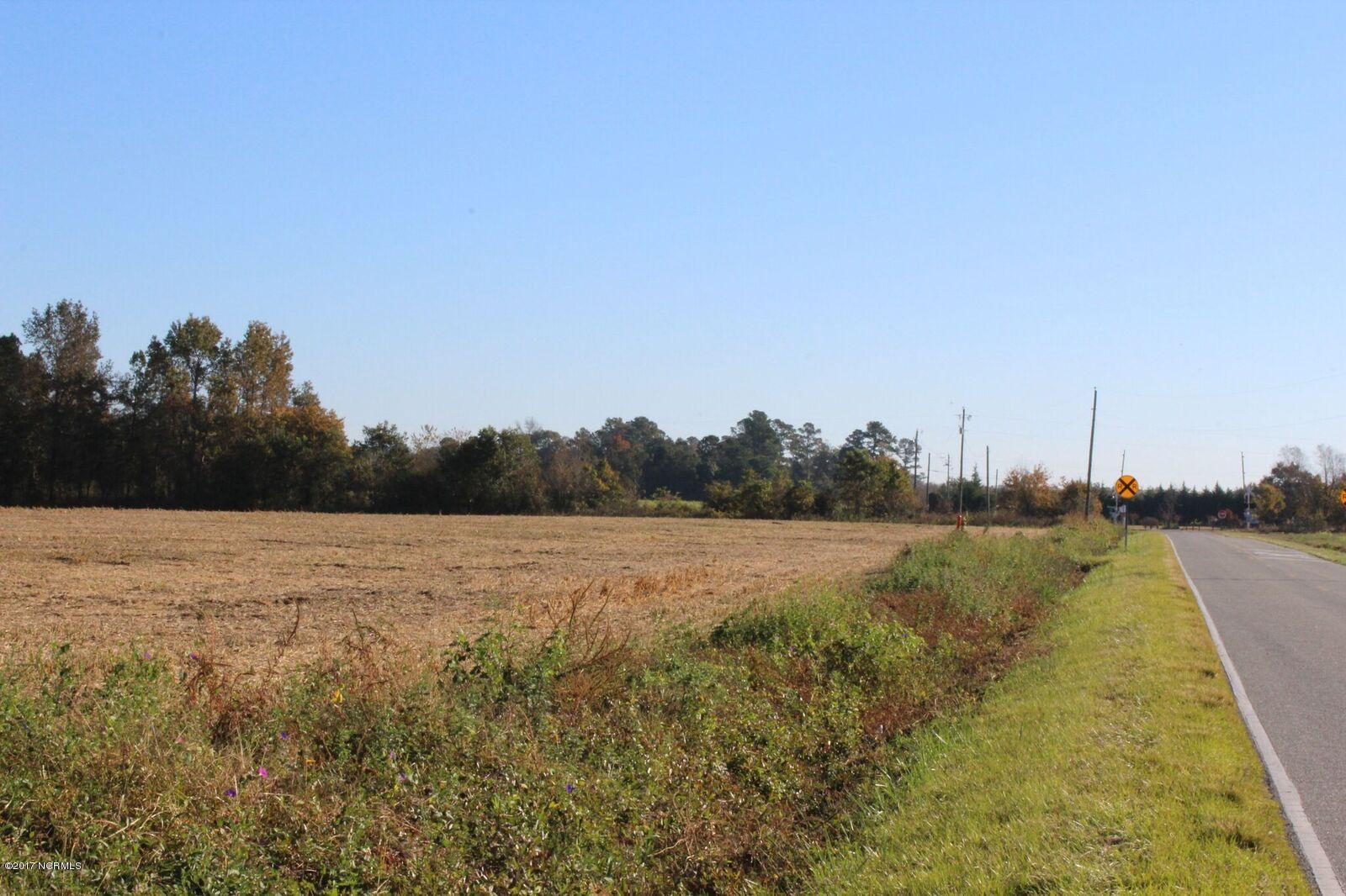 16.8-ac Perry Rivenbark Road Warsaw, NC 28398 - Photo 3 of 5 Looking to the right side of the property toward the railroad tracks. 1763' parallel to railroad tracks.
