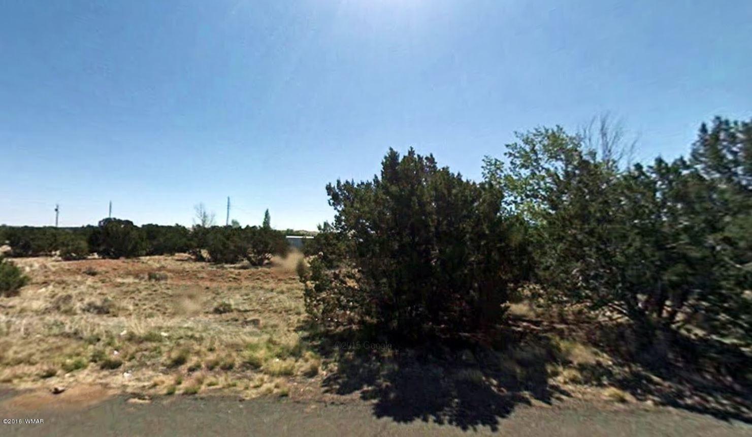 Lot 2 Concho Concho, AZ 85924 - Photo 1 of 1