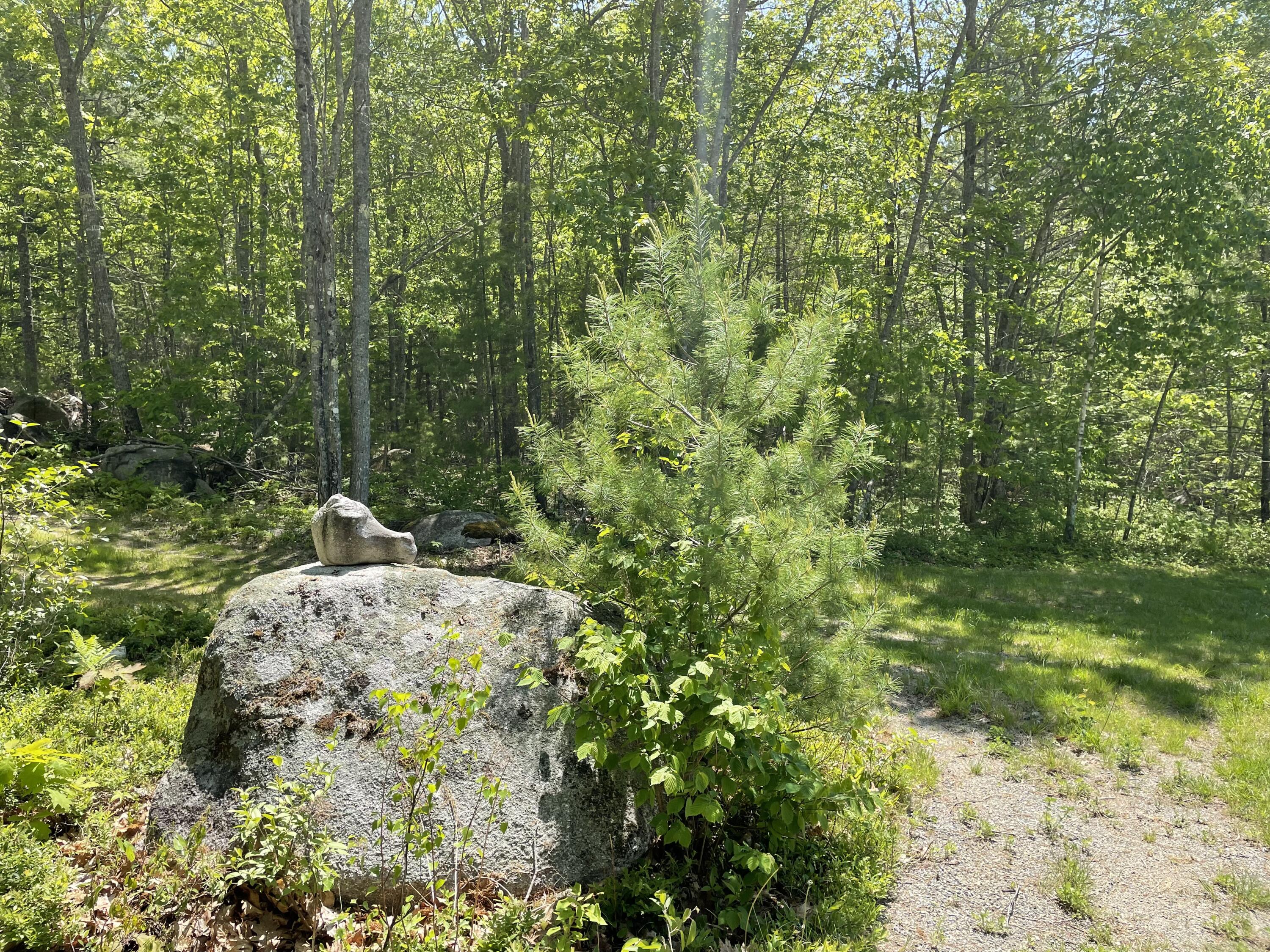 30 Snow's Cove Road Sedgwick, ME 04676 - Photo 41 of 41 Photo May 30 2023, 1 32 43 PM