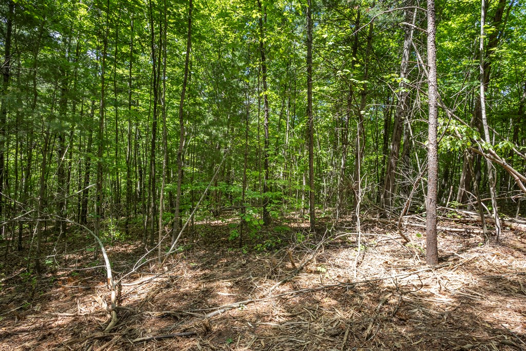 20-ac Pack Mountain Road Murphy, NC 28906 - Photo 4 of 20