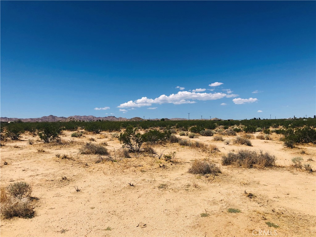 0 Dusty Mile Road Landers, CA 92285 - Photo 6 of 9