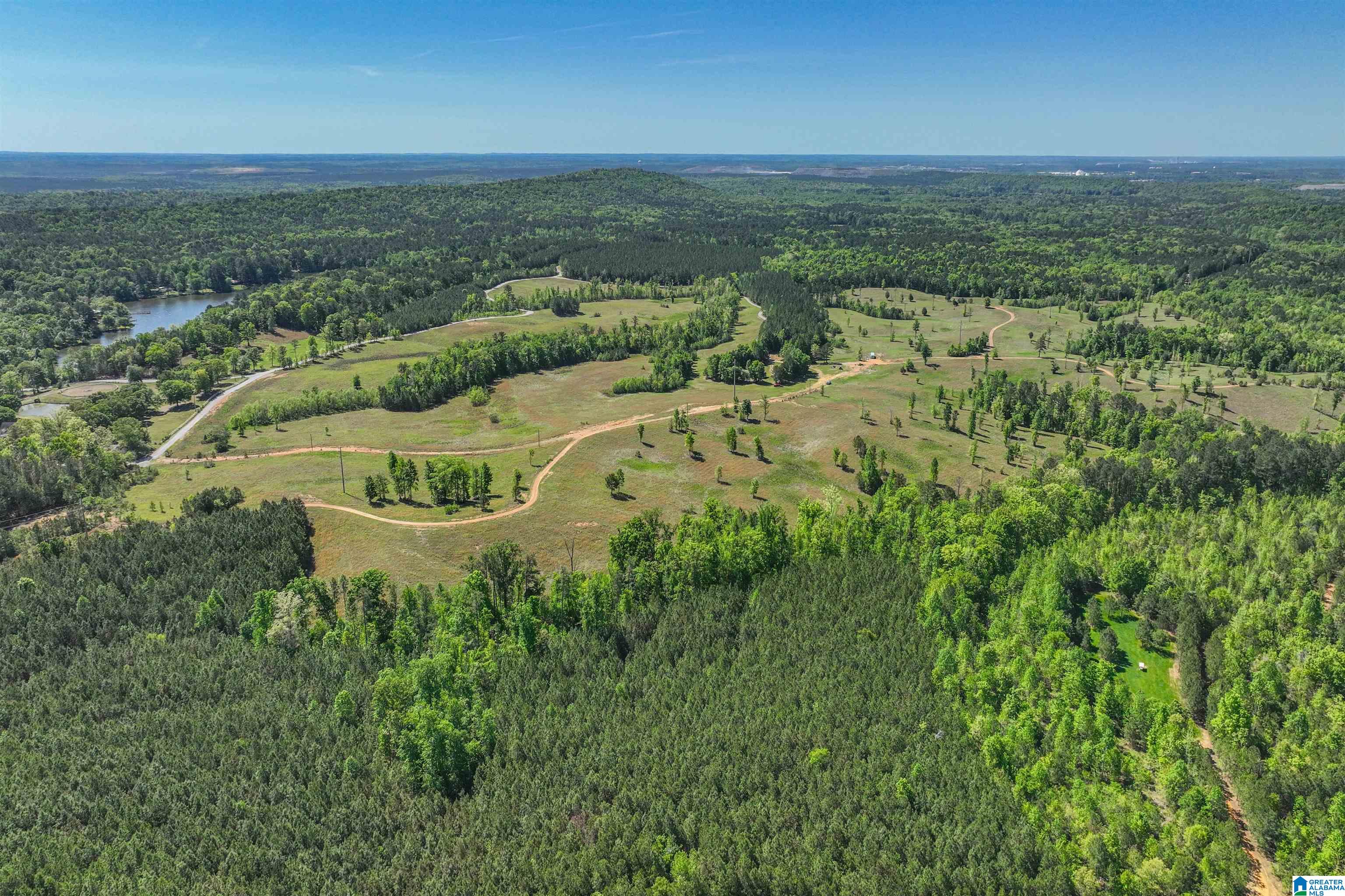 489 4 Wing Lake Road Alabaster, AL 35007 - Photo 3 of 27