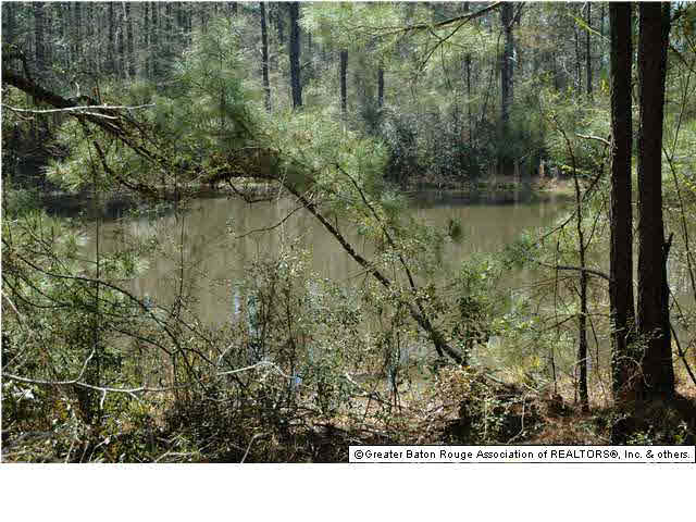 2767 Bethel Road Liberty, MS 39645 - Photo 12 of 19