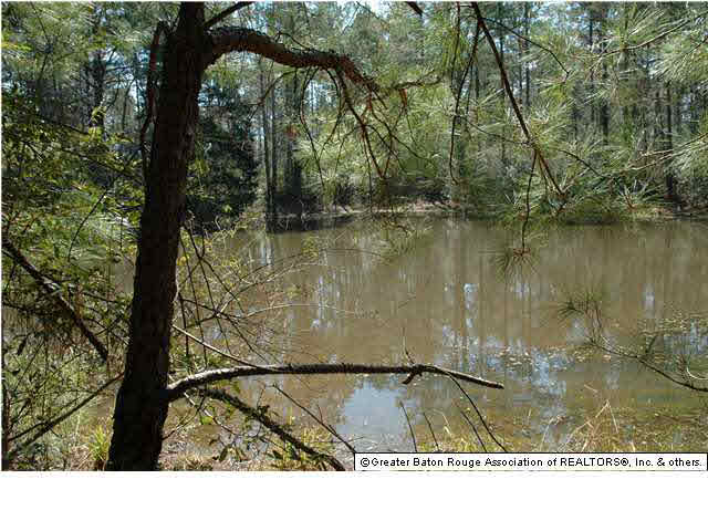 2767 Bethel Road Liberty, MS 39645 - Photo 13 of 19