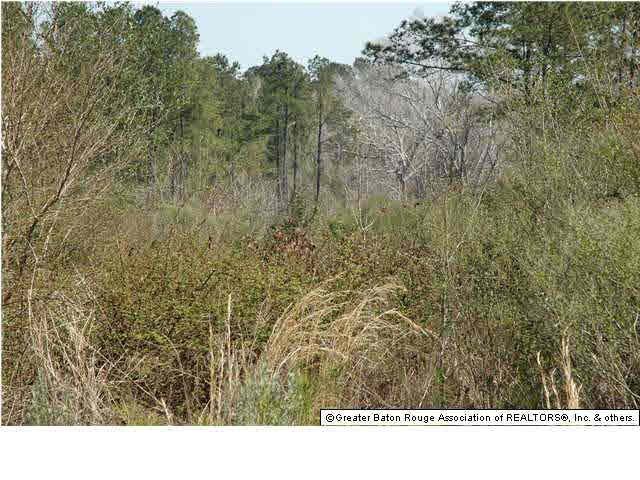 2767 Bethel Road Liberty, MS 39645 - Photo 14 of 19