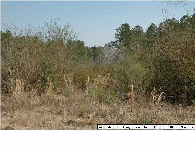 2767 Bethel Road Liberty, MS 39645 - Photo 15 of 19