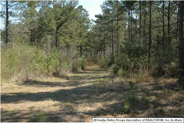 2767 Bethel Road Liberty, MS 39645 - Photo 16 of 19