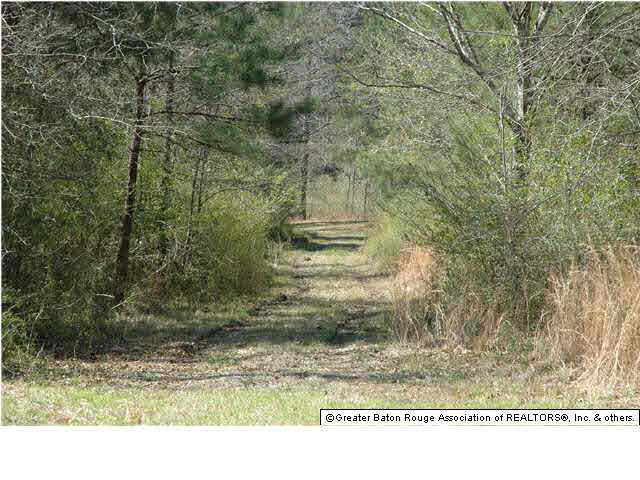 2767 Bethel Road Liberty, MS 39645 - Photo 3 of 19