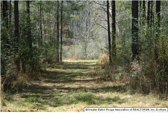 2767 Bethel Road Liberty, MS 39645 - Photo 4 of 19