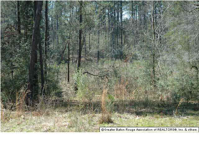 2767 Bethel Road Liberty, MS 39645 - Photo 5 of 19