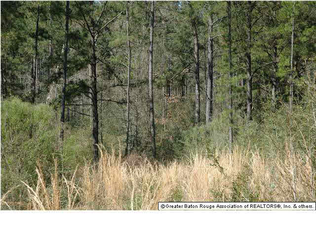 2767 Bethel Road Liberty, MS 39645 - Photo 6 of 19