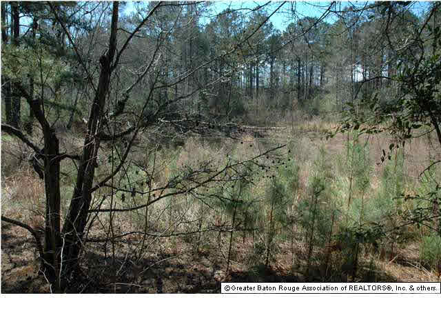 2767 Bethel Road Liberty, MS 39645 - Photo 7 of 19