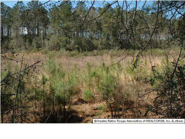 2767 Bethel Road Liberty, MS 39645 - Photo 8 of 19