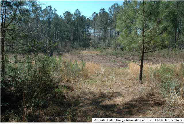 2767 Bethel Road Liberty, MS 39645 - Photo 9 of 19