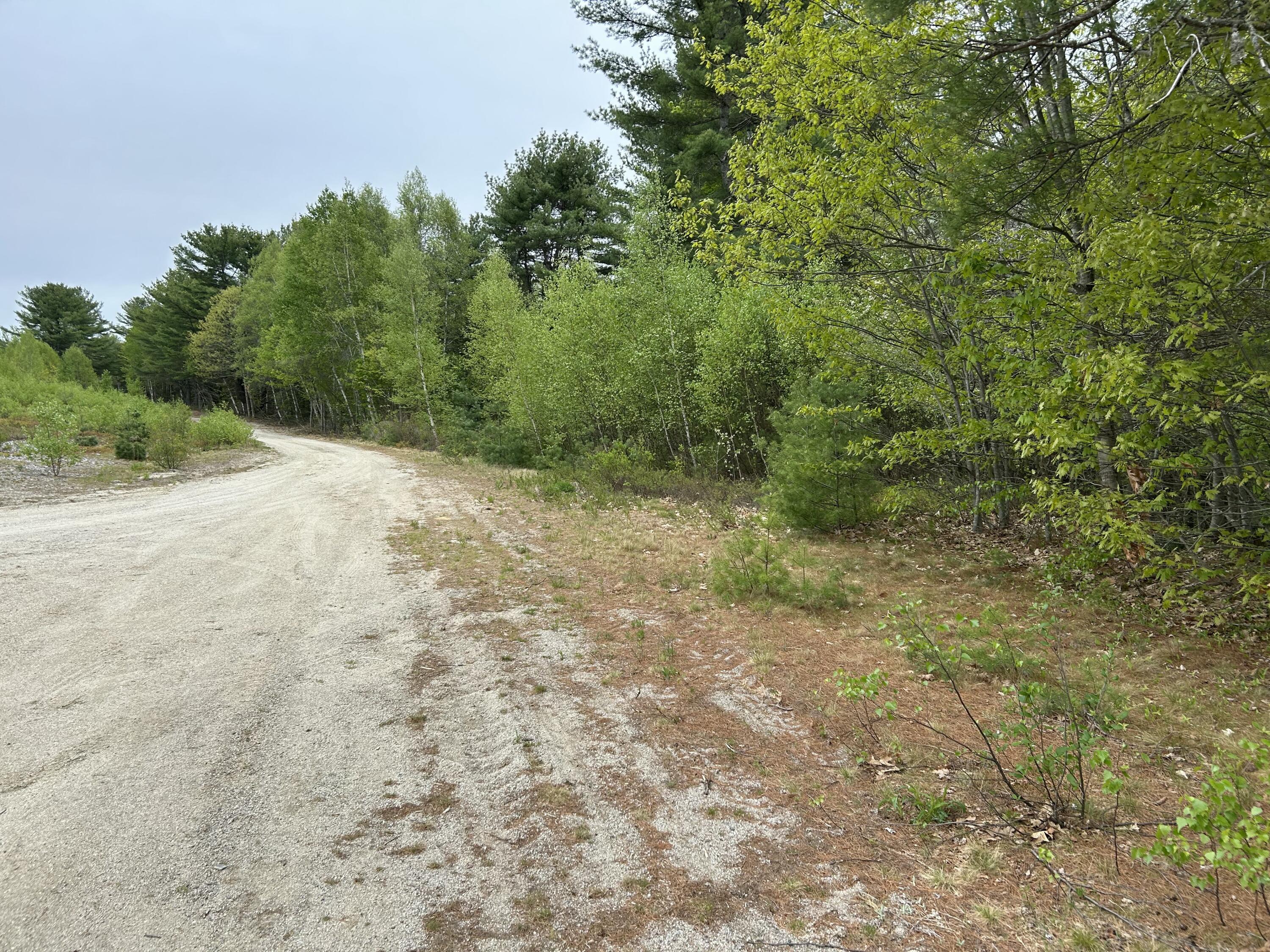 M1-l15 Eastbrook Road Eastbrook, ME 04634 - Photo 1 of 31 IMG_8568