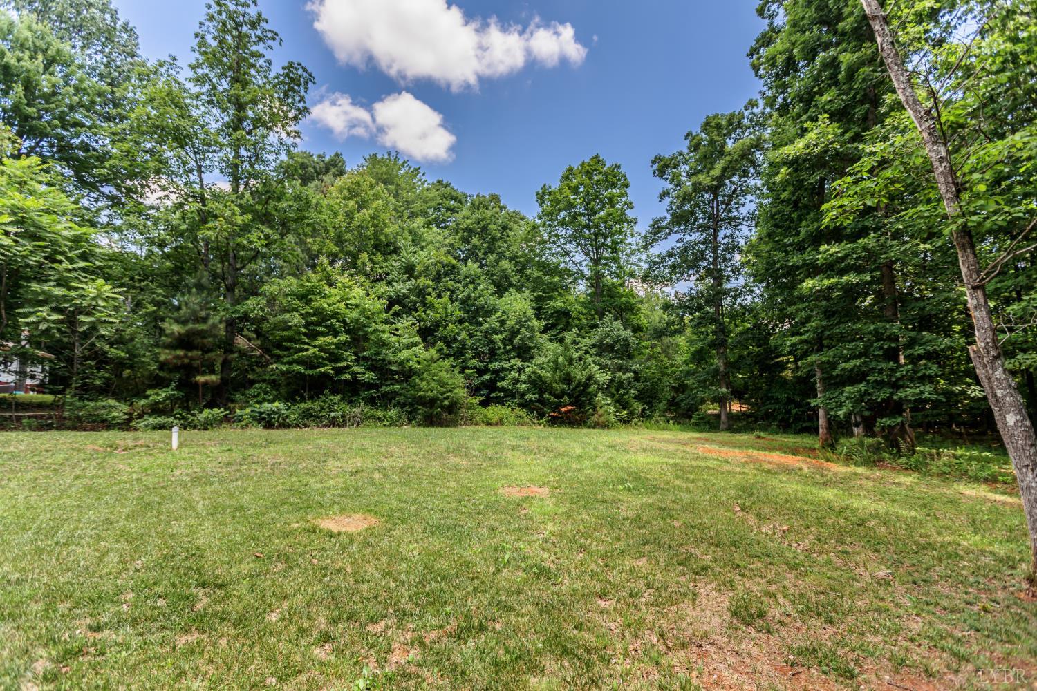 316 Tower Hill Road Appomattox, VA 24522 - Photo 40 of 46