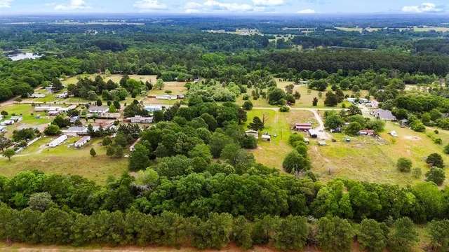 an aerial view of residential houses with outdoor space and trees