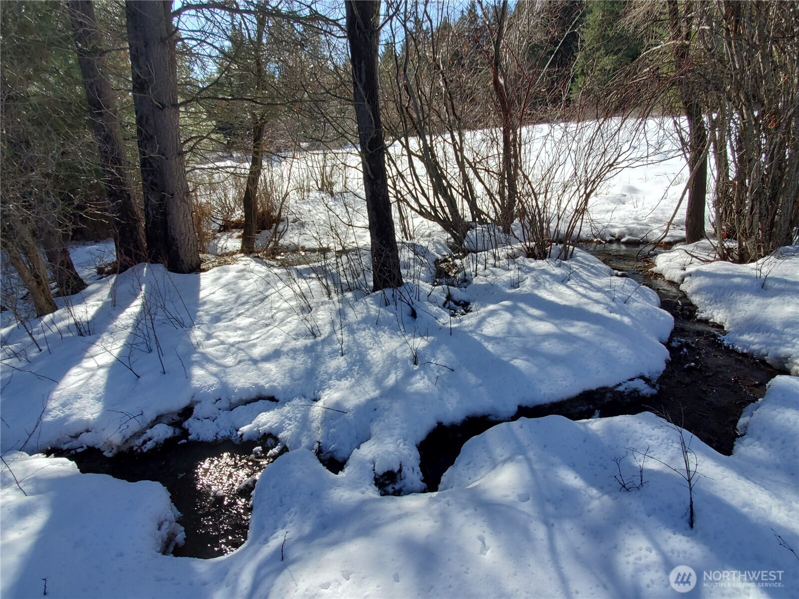55 Highway 10 Cle Elum, WA 98922 - Photo 16 of 36 a view of a backyard with large trees