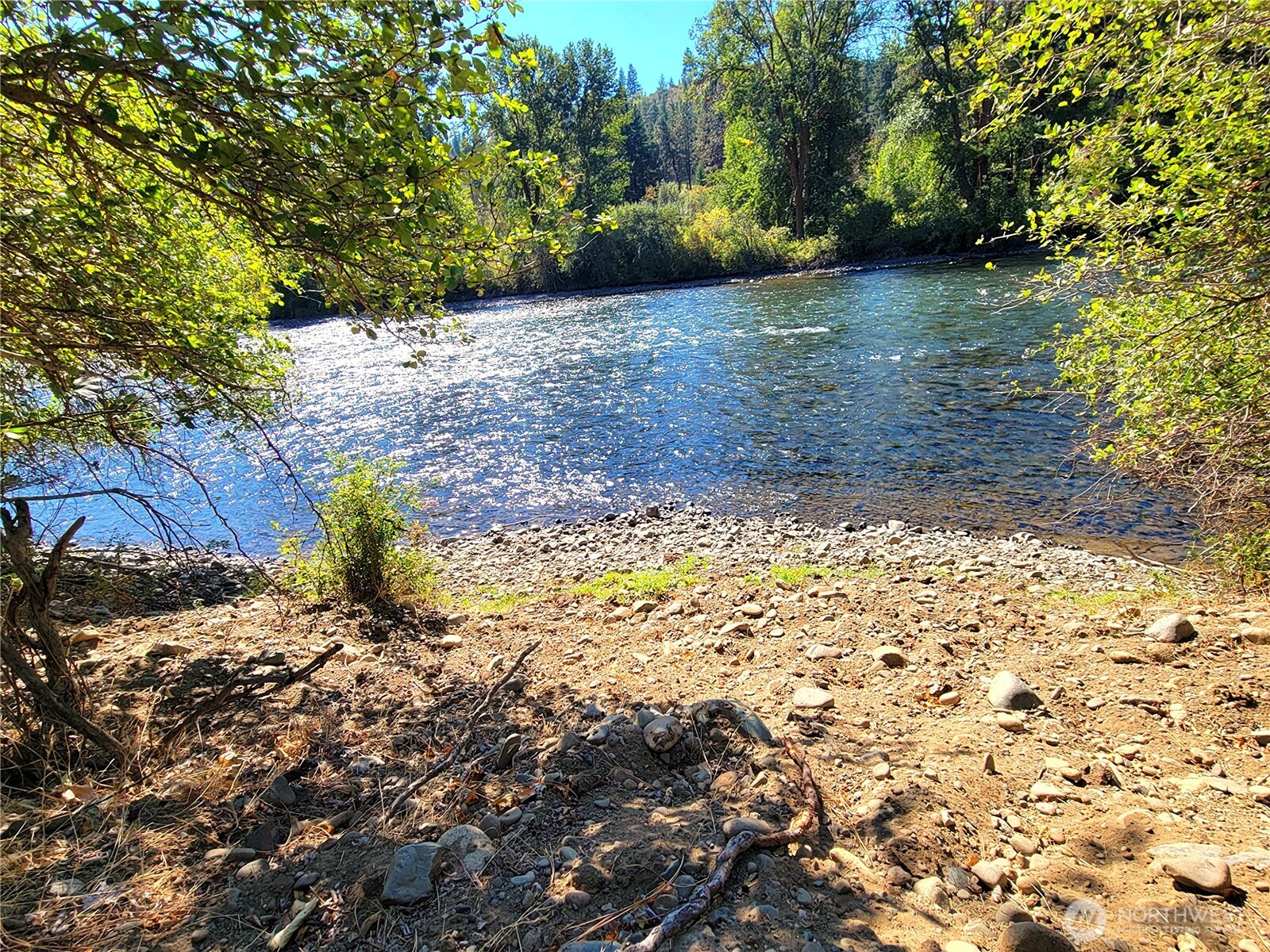 55 Highway 10 Cle Elum, WA 98922 - Photo 2 of 36 a view of a yard with plants and trees