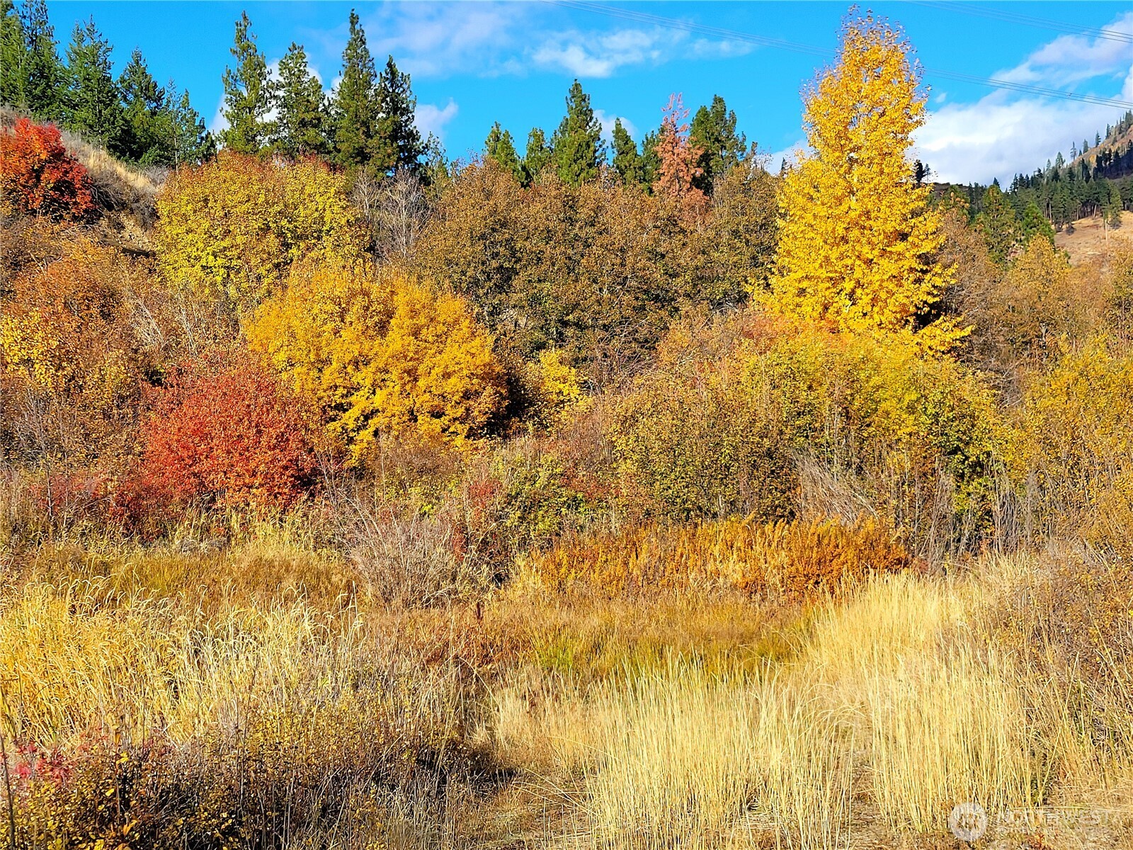 55 Highway 10 Cle Elum, WA 98922 - Photo 25 of 36 a view of a yard