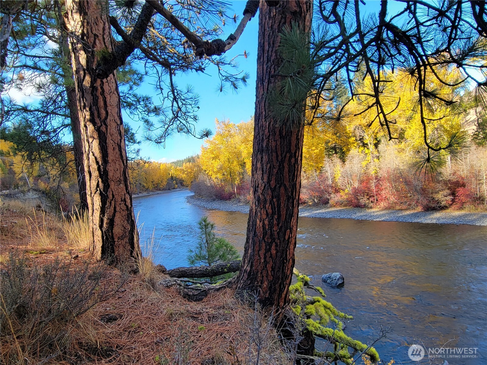 55 Highway 10 Cle Elum, WA 98922 - Photo 30 of 36 a view of a lake from a yard