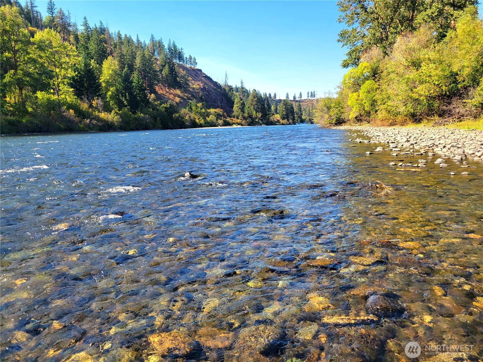 55 Highway 10 Cle Elum, WA 98922 - Photo 3 of 36 a view of a yard with trees