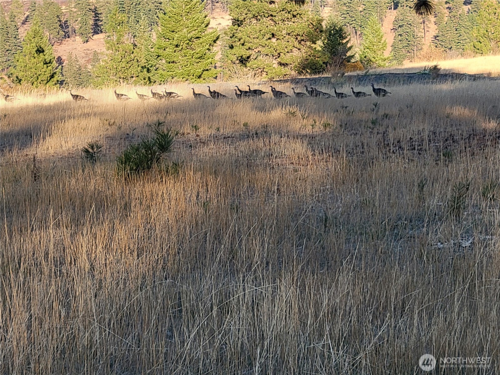 55 Highway 10 Cle Elum, WA 98922 - Photo 33 of 36 a view of lake