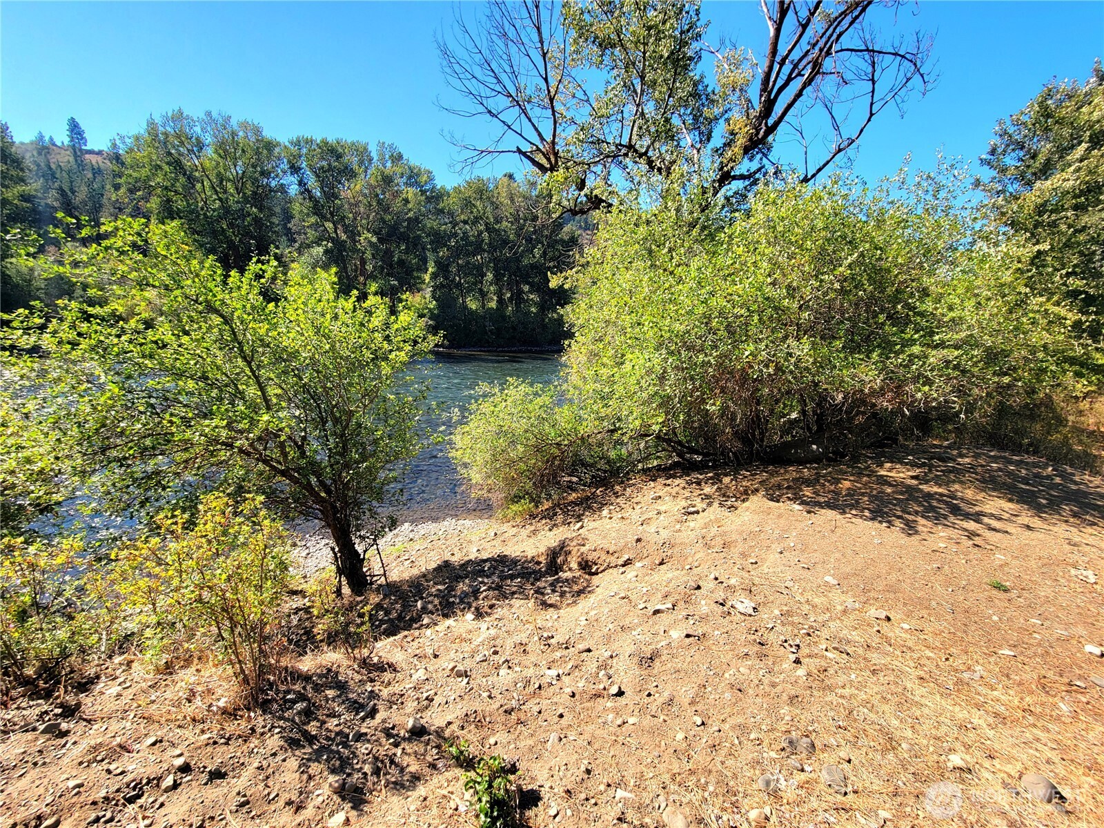 55 Highway 10 Cle Elum, WA 98922 - Photo 5 of 36 a view of a yard with plants and trees