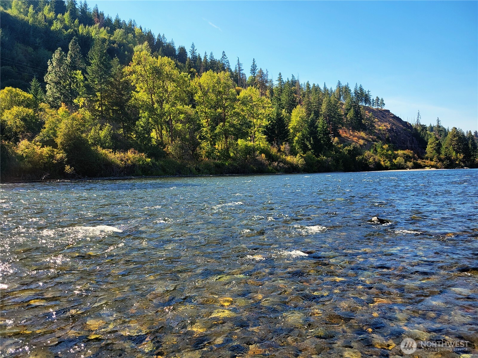 55 Highway 10 Cle Elum, WA 98922 - Photo 6 of 36 a view of a tree with an outdoor space