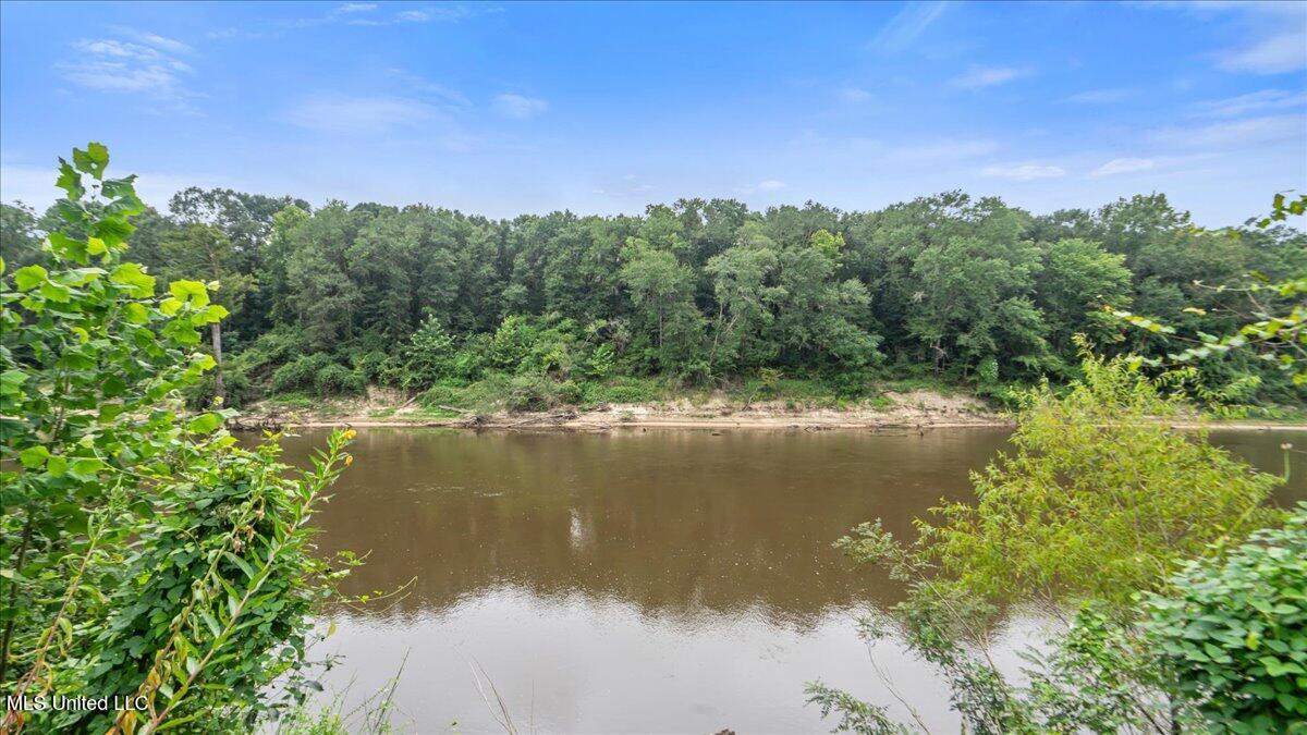 131 River Loop Beaumont, MS 39423 - Photo 2 of 30 01-S2A08408
