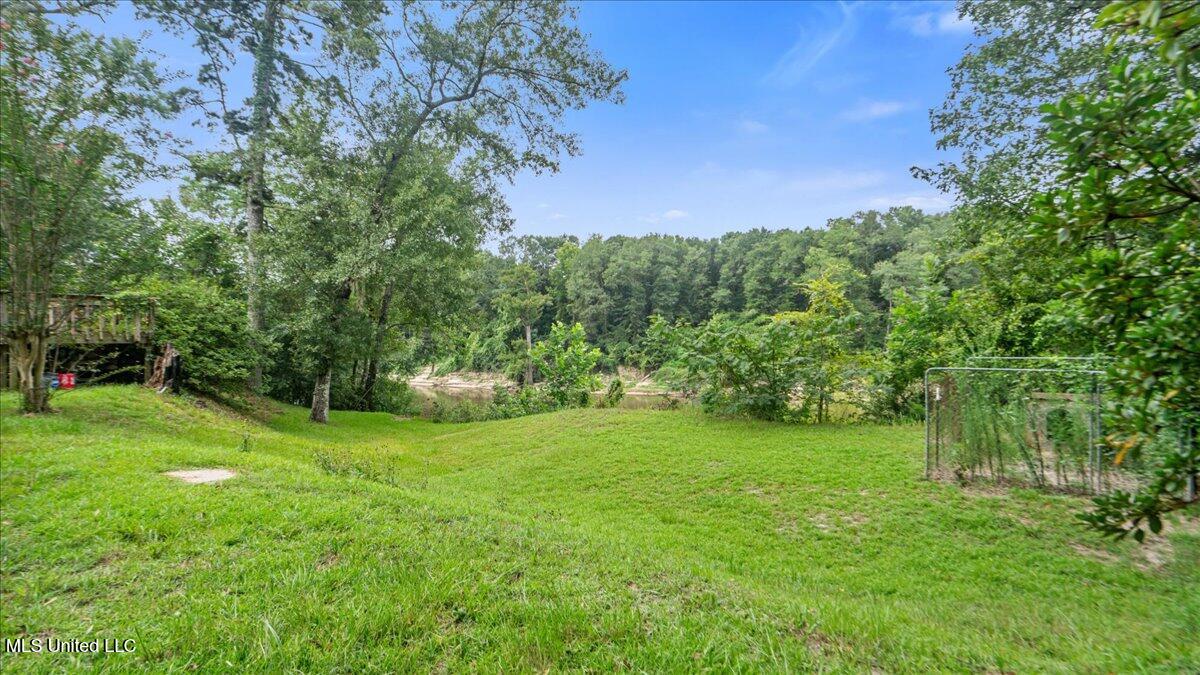 131 River Loop Beaumont, MS 39423 - Photo 26 of 30 24-S2A08388