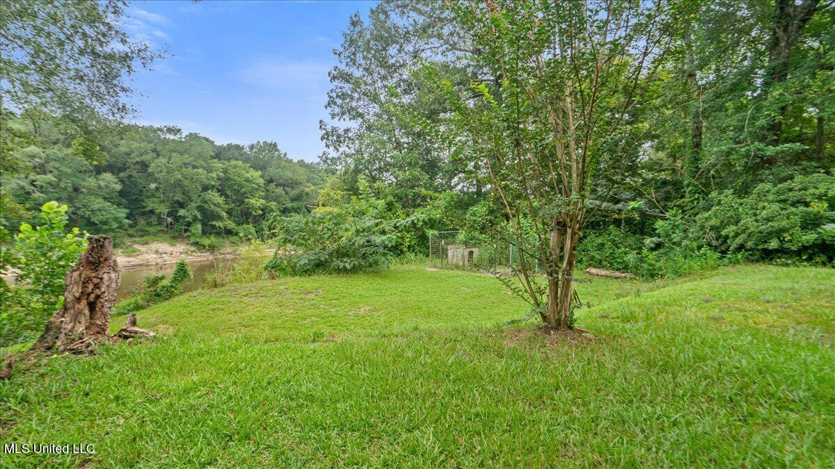 131 River Loop Beaumont, MS 39423 - Photo 27 of 30 25-S2A08393
