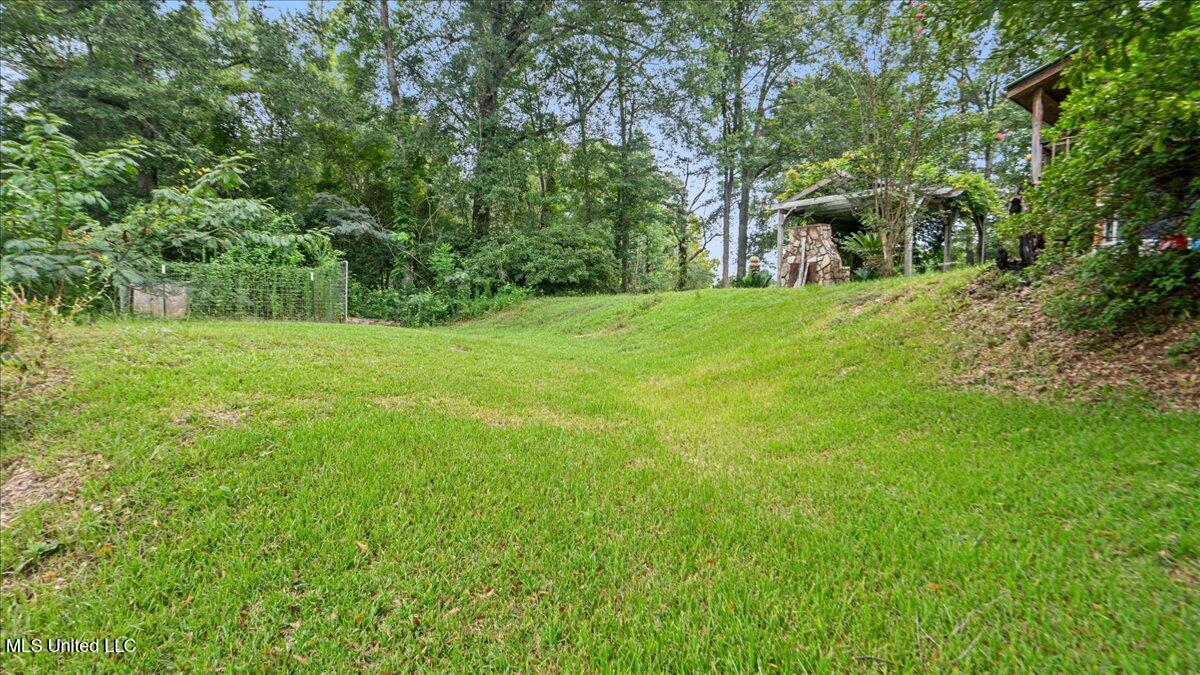 131 River Loop Beaumont, MS 39423 - Photo 29 of 30 27-S2A08403