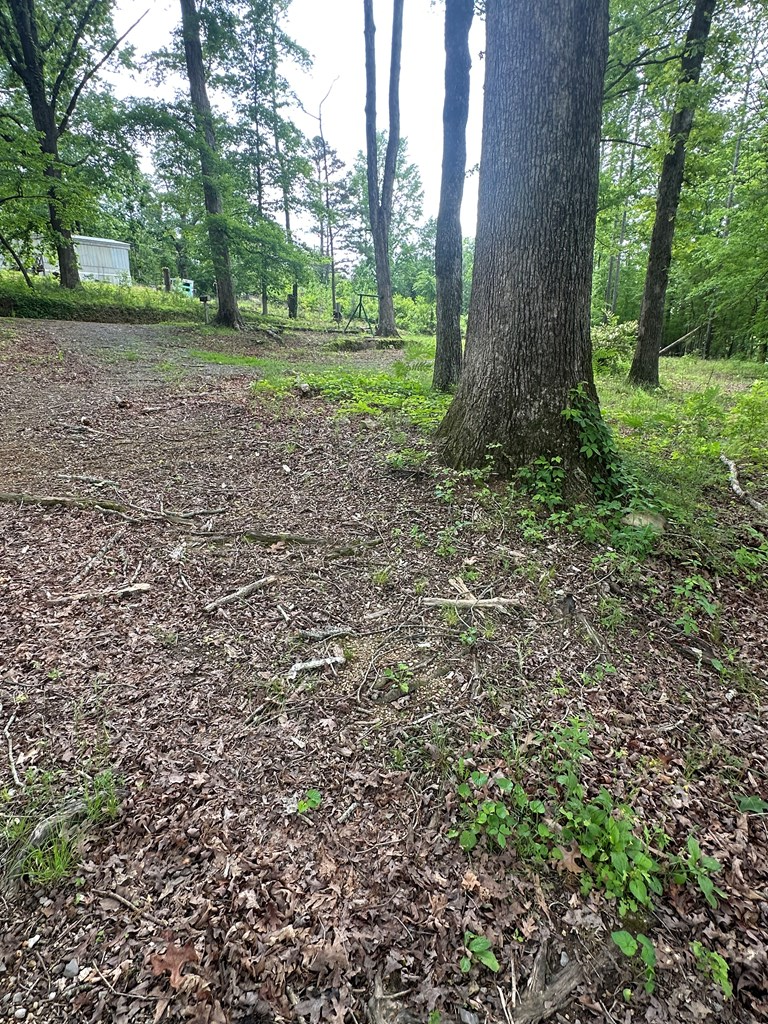 2215 Kerr Road Northwest Dalton, GA 30721 - Photo 4 of 9 Gallery Image 4