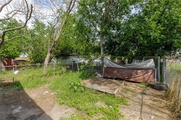 a view of a garden with plants and large trees
