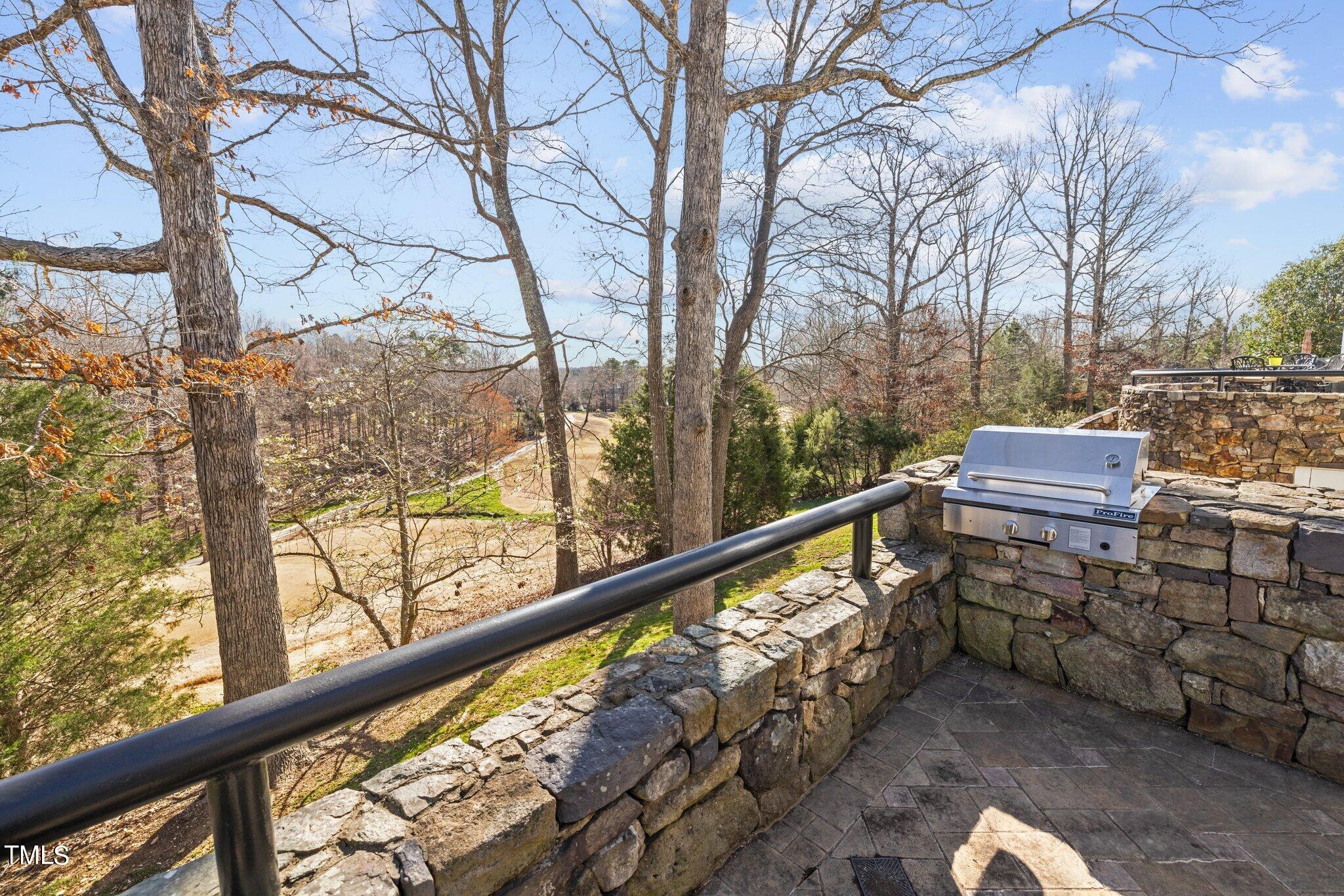 202 Villa Drive Durham, NC 27712 - Photo 49 of 53 a view of balcony with two trees