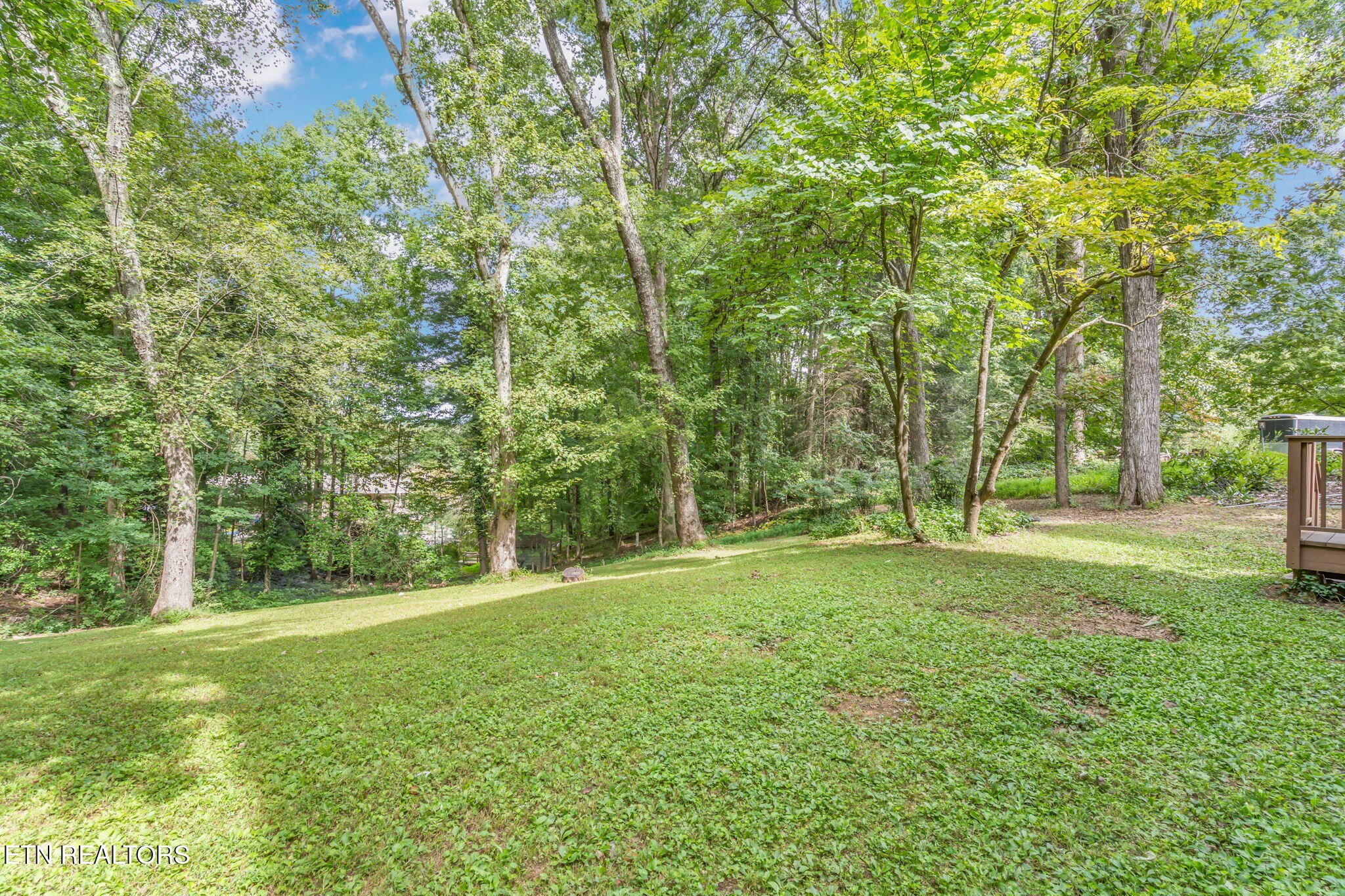 110 Balsam Road Oak Ridge, TN 37830 - Photo 38 of 39 a view of a field with trees in front of it