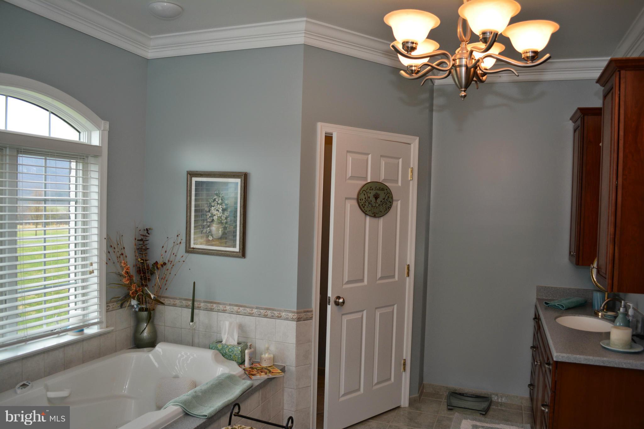 628 Hook Hill Road Luray, VA 22835 - Photo 15 of 30 Bedroom (Master)