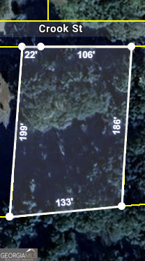 0 Crook Street Senoia, GA 30276 - Photo 2 of 2